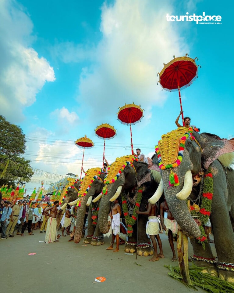 Decorated elephants and huge crowd during Thrissur Pooram festival celebration at Vadakkunnathan Temple in Thrissur Kerala