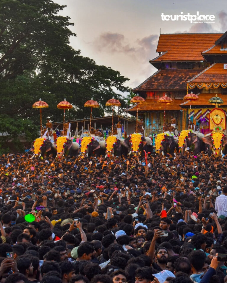 Decorated elephants and huge crowd during Thrissur Pooram festival celebration at Vadakkunnathan Temple in Thrissur Kerala