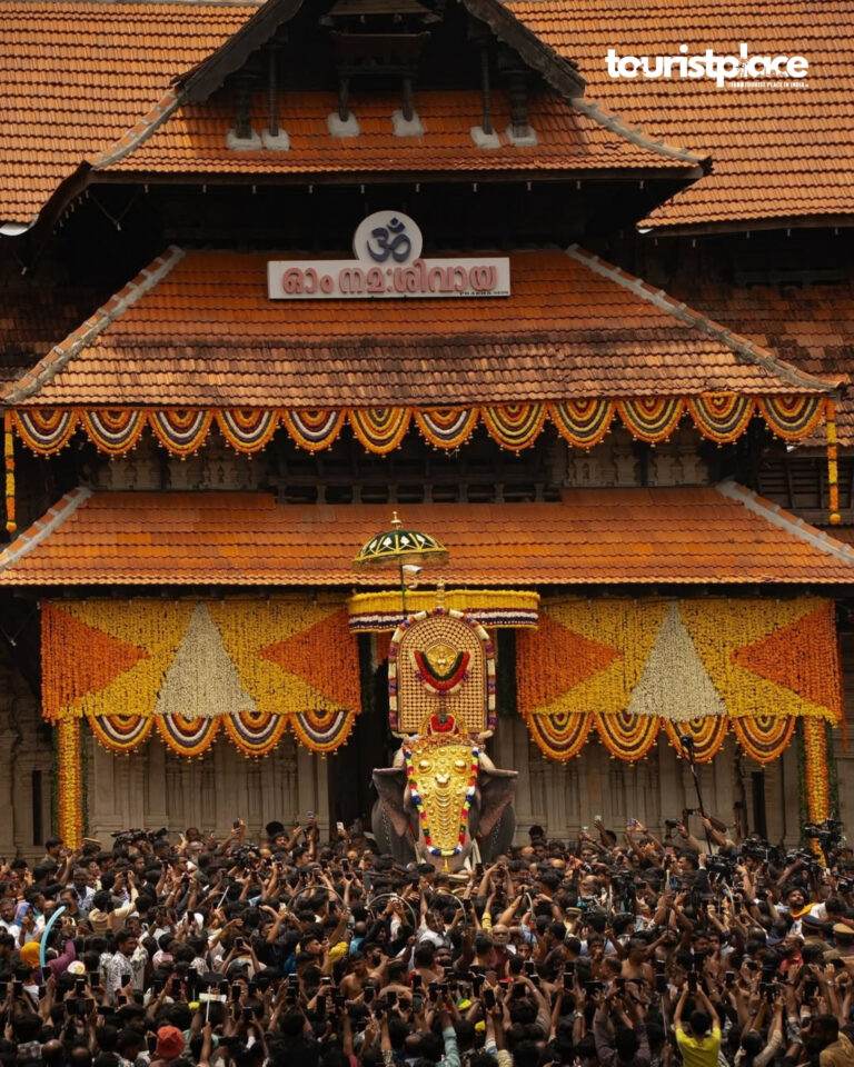 Decorated elephants and huge crowd during Thrissur Pooram festival celebration at Vadakkunnathan Temple in Thrissur Kerala