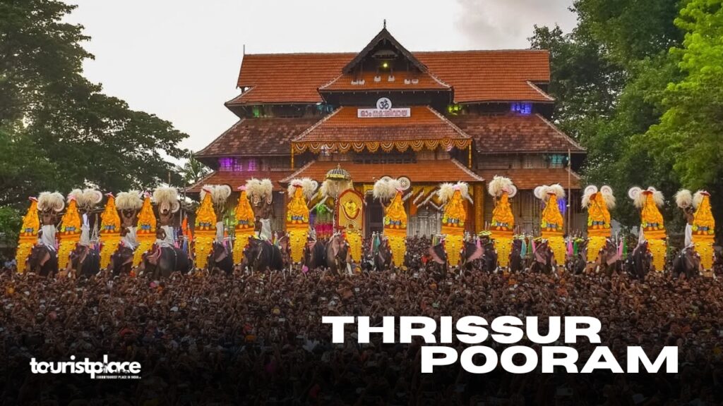 Decorated elephants during Thrissur Pooram festival in Kerala with traditional umbrellas, drums, and fireworks celebration