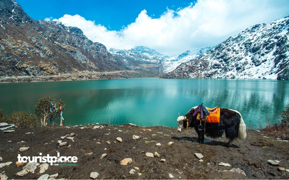 Best places to visit in Sikkim with scenic Himalayan mountains, monasteries and natural beauty - Tourist Place In India