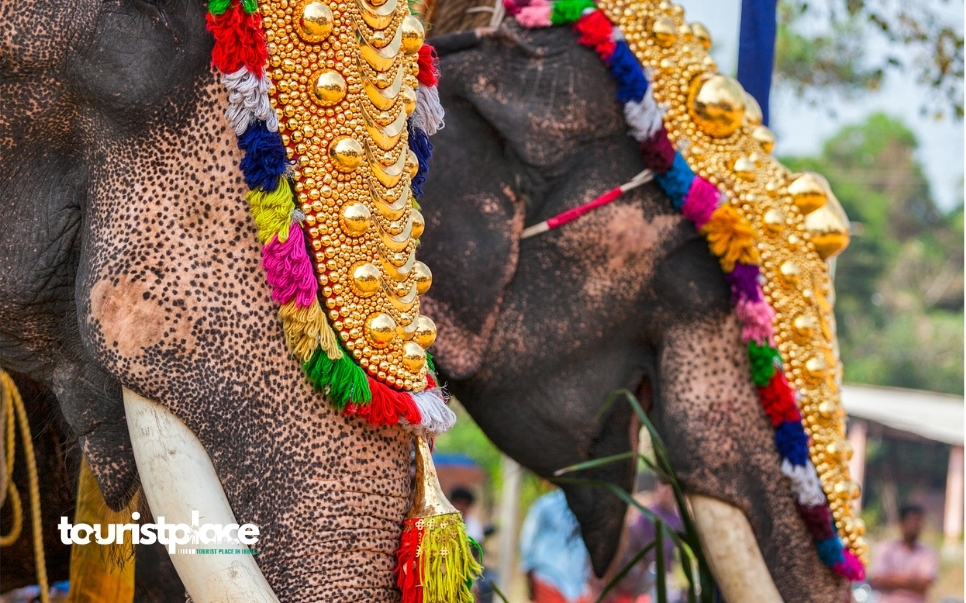 Decorated elephants and huge crowd during Thrissur Pooram festival celebration at Vadakkunnathan Temple in Thrissur Kerala